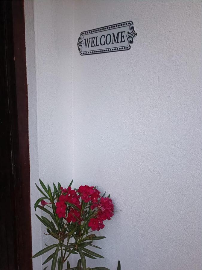 Appartement Hortenzija Maslinica